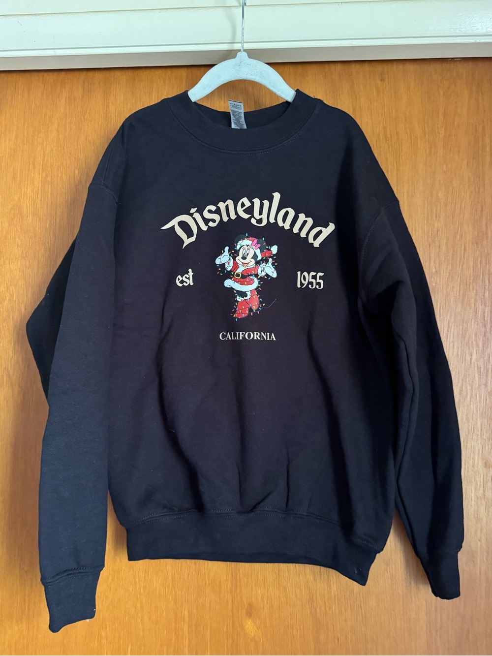 Kids Minnie Mouse Disneyland crewneck